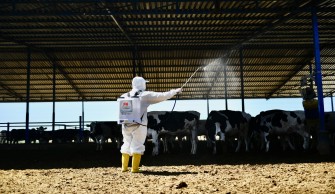 SARIÇAM’DA KARASİNEKLE MÜCADELE DEVAM EDİYOR