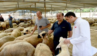 SEYHAN’DAN “ÜCRETSİZ KURBAN KESİM” HİZMETİ