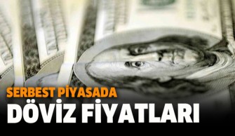 Serbest piyasada döviz fiyatları