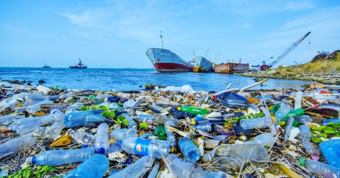 WWF: Akdeniz’de En Çok Plastik Türkiye’de