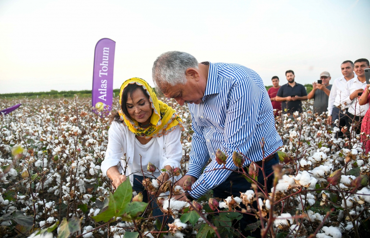 Türkan Şoray, Kendi Adının Verildiği Pamuğun Hasadına Katıldı